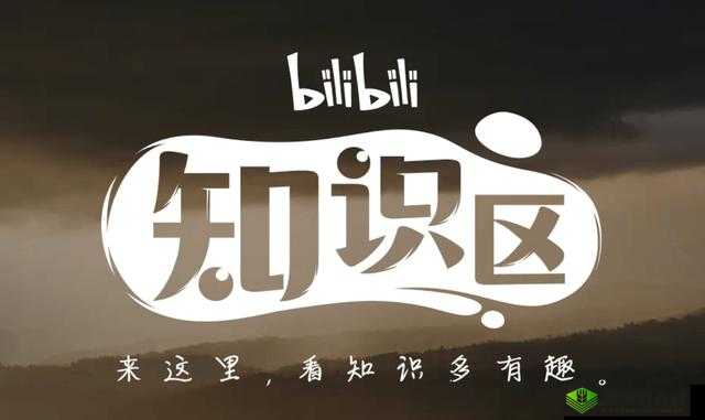 年轻人的B站：知识与娱乐并存