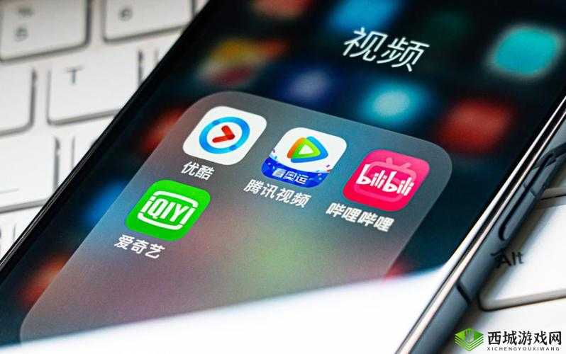 国外 b 站：一个独特的视频平台