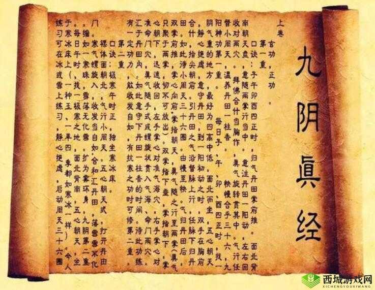 九阴真经 x88888：一部神奇的功法