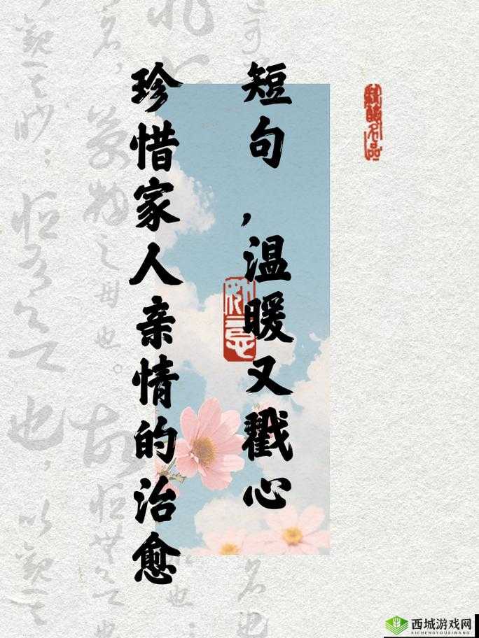爱爱爱xxx：用真心传递无尽的爱与温暖的力量