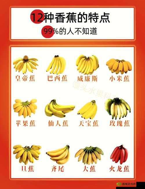 国产香蕉和进口香蕉的价格比较出新高市民该如何选择